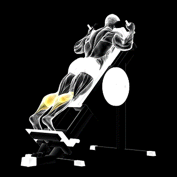 Sled Forward-Angled Calf Raise demonstration