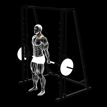 Smith Back Shrug demonstration