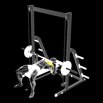 Smith Bench Press demonstration