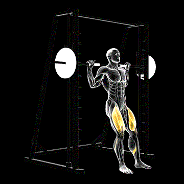 Smith Chair Squat demonstration