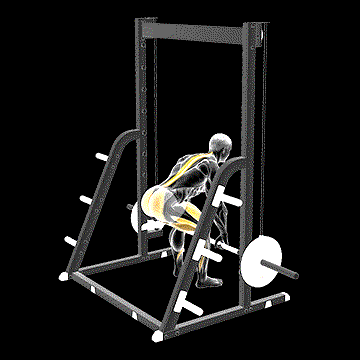 Smith Deadlift demonstration