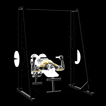 Smith Decline Bench Press demonstration