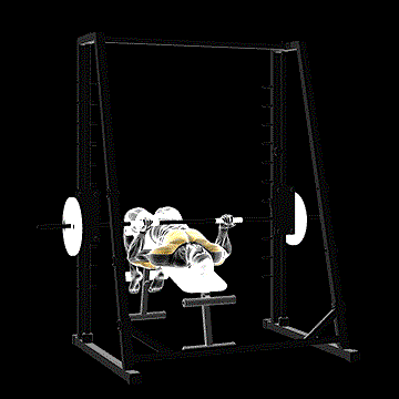 Smith Decline Reverse-Grip Press demonstration