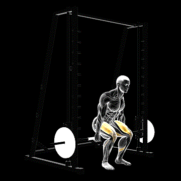 Smith Hack Squat demonstration