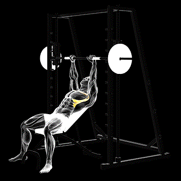 Smith Incline Shoulder Raise demonstration