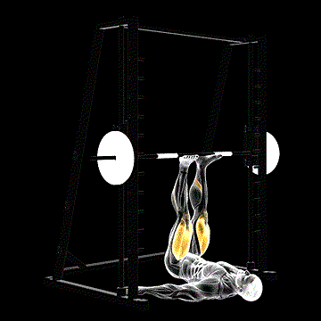 Smith Leg Press demonstration