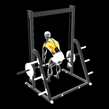Smith Bent-over Row demonstration