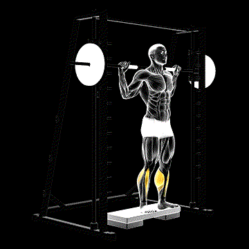 Smith Reverse Calf Raise demonstration