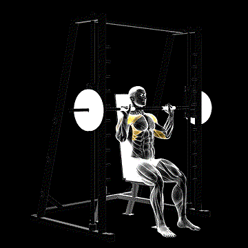 Smith Seated Shoulder Press demonstration