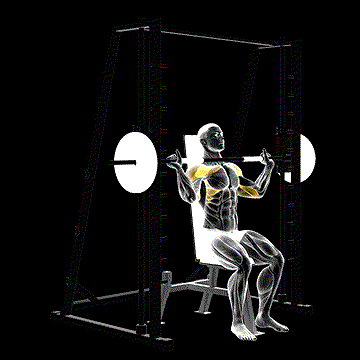 Smith Shoulder Press demonstration