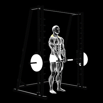 Smith Shrug demonstration