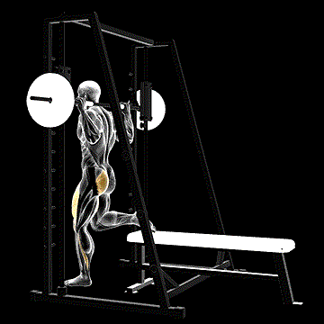 Smith One-Leg Split Squat demonstration