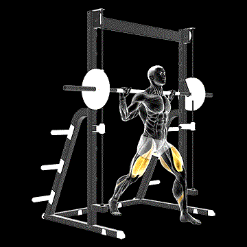 Smith Split Squat demonstration
