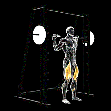 Smith Squat demonstration