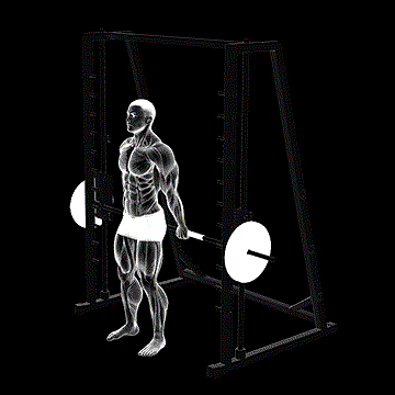 Smith Standing Back Wrist Curl demonstration