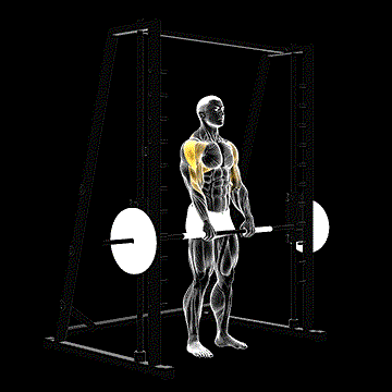 Smith Upright Row demonstration