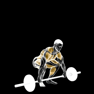 Snatch Pull demonstration