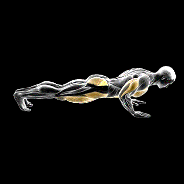 Spider Crawl Push-up demonstration