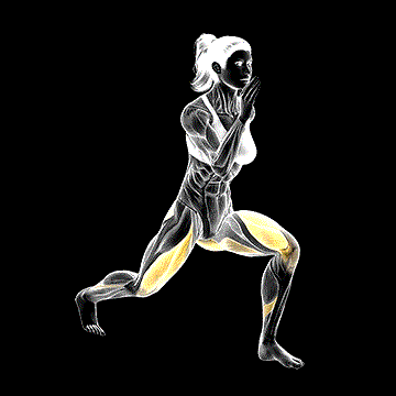 Split Squat demonstration
