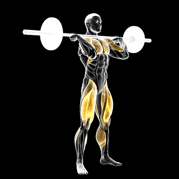Squat Jerk demonstration