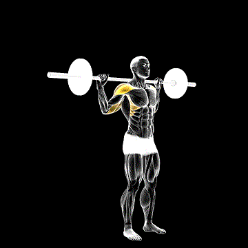 Standing Behind-Neck Press demonstration