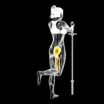Standing Hip Extension (Bent Knee) demonstration
