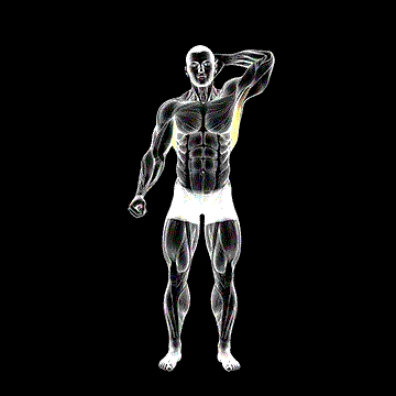 Standing Lateral Stretch demonstration