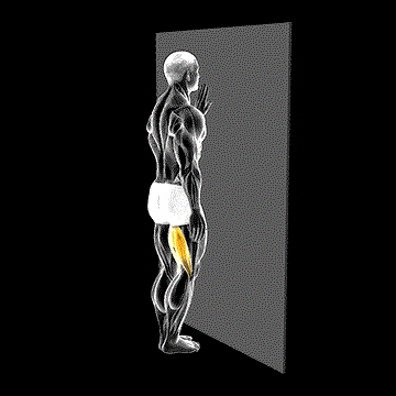 Standing One-Leg Curl demonstration