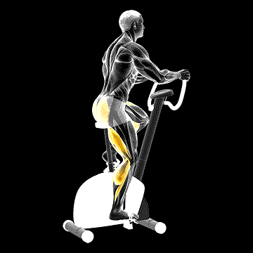 Stationary Bike demonstration