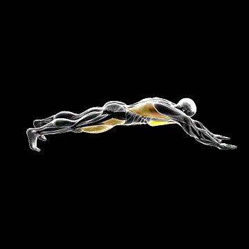 Superman Push-up demonstration