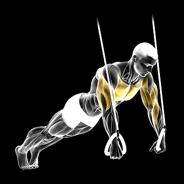 Suspended Push-Up demonstration