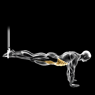 Suspended Reverse Crunch demonstration
