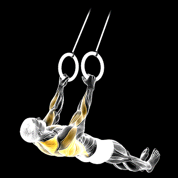 Suspended Row demonstration