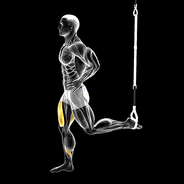 Suspended Split Squat demonstration