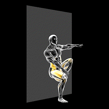 Toe Touch Sit (Wall) demonstration