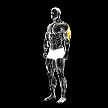 Triceps Stretch demonstration