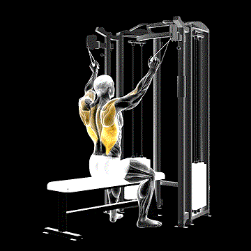 Twin Handle Parallel Grip Lat Pulldown demonstration