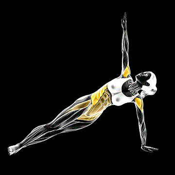 Twist Side Bridge demonstration