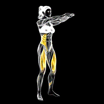 Twist Squat demonstration
