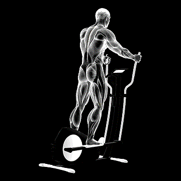 Elliptical Walk demonstration