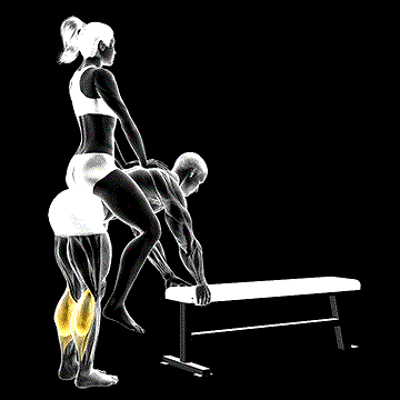 Weighted Donkey Calf Raise demonstration