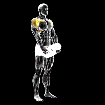 Weighted Front Raise demonstration