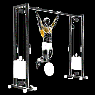 Weighted Pull-up demonstration