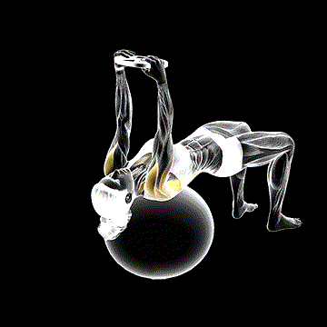 Weighted Pullover (w/ Stability Ball) demonstration