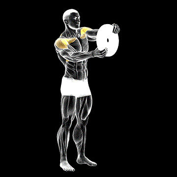 Weighted Round Arm demonstration