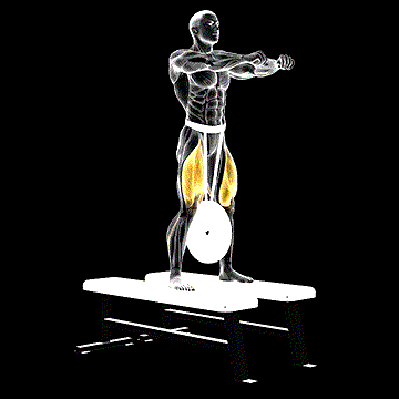 Weighted Squat demonstration
