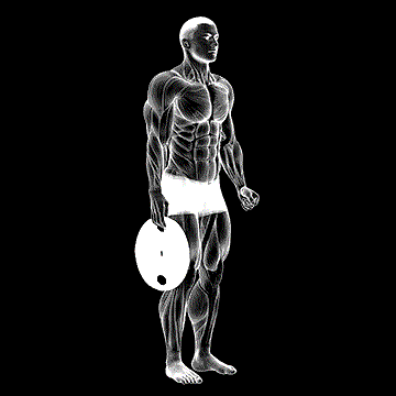 Weighted Standing Hand Squeeze demonstration
