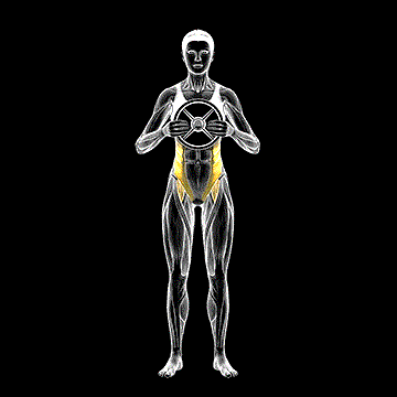 Weighted Standing Twist demonstration