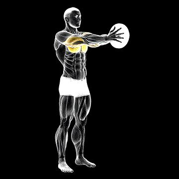 Weighted Svend Press demonstration