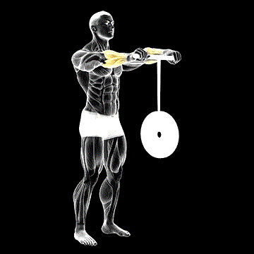 Wrist Roller demonstration